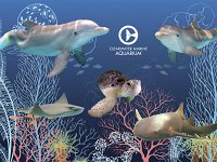 CMA Animal Collage 1280x800